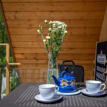 Apartmán Apart-invest Blisko Wyciagu 24 *